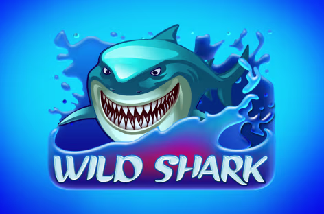 Wild Shark
